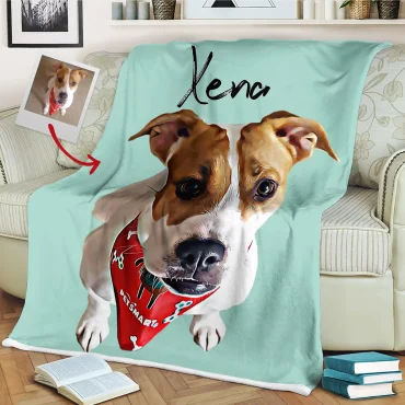 Custom Dog Blanket - Color
