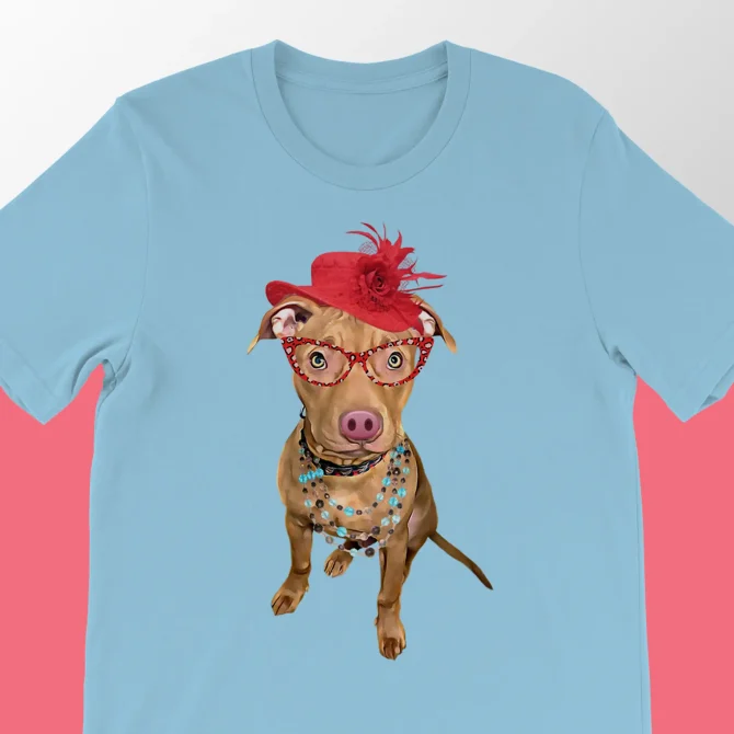 Accessorize your Dog shirt.