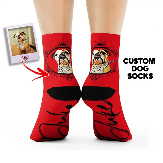 Pet Photo Socks