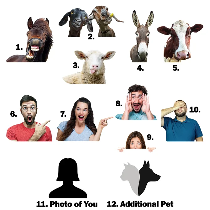 Custom Pet Car Sun Shade with Additional passenger - Image 5