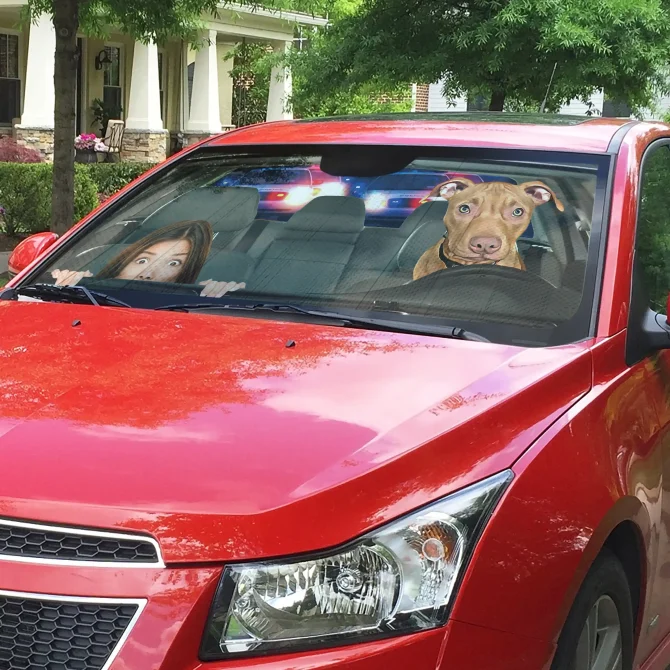 Custom Pet Car Sun Shade with funny Background - Image 3