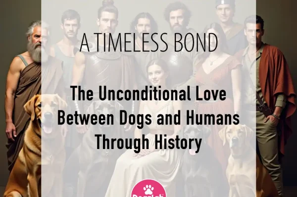 Dogs and Hoomans through History