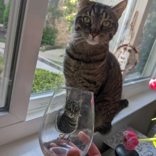 Custom Pet Wine Glass photo review
