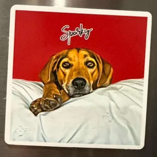 Pet Portrait Magnet photo review