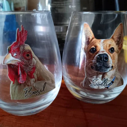 Custom Pet Wine Glass photo review